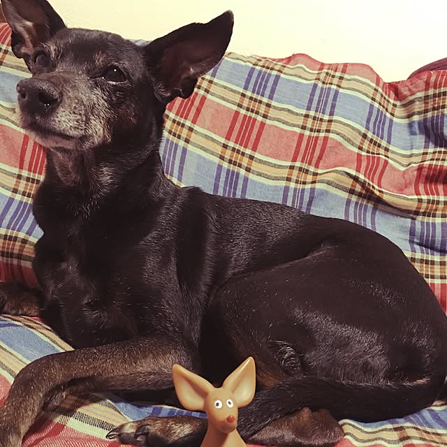 70さんの実例写真