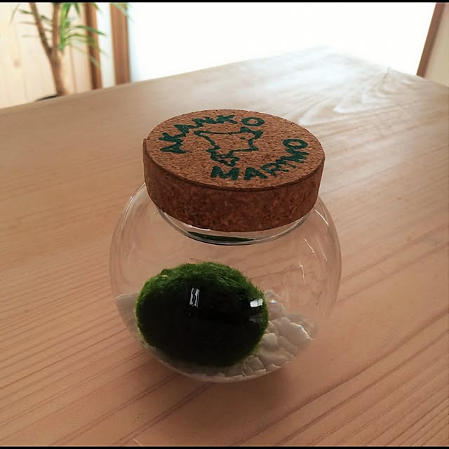 diybocchiさんの実例写真