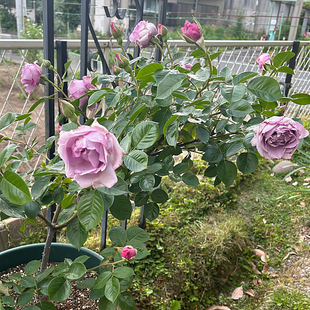 koti11さんの部屋