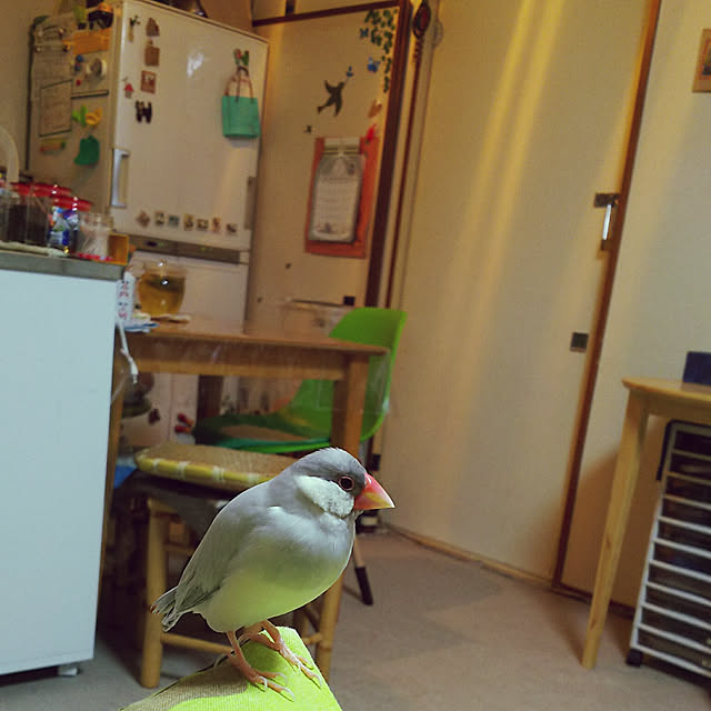 komaさんの実例写真