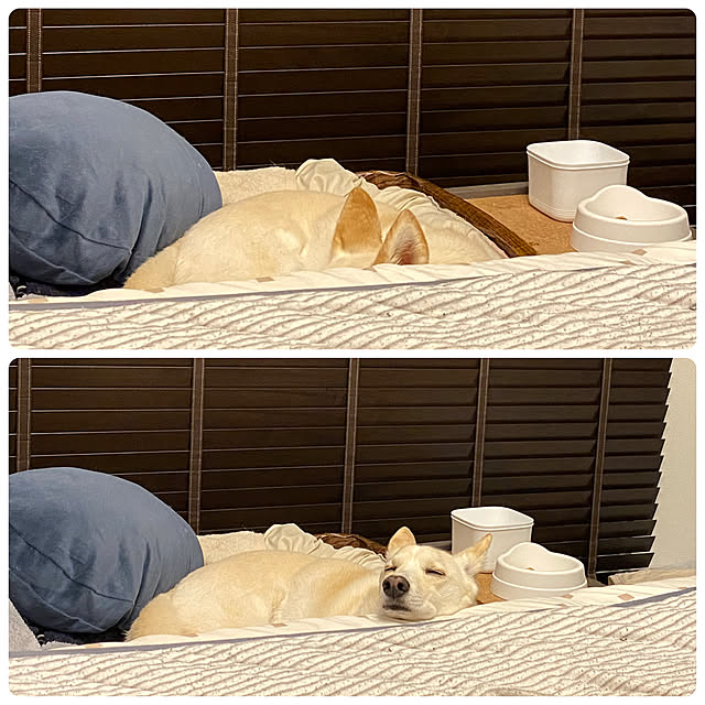 tanboさんの実例写真