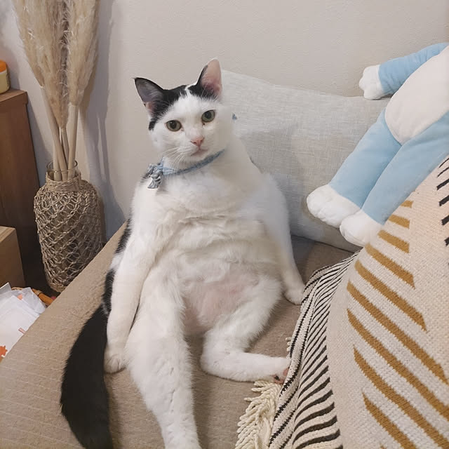 yuuさんの実例写真