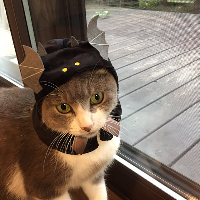 natsumama6566さんの実例写真