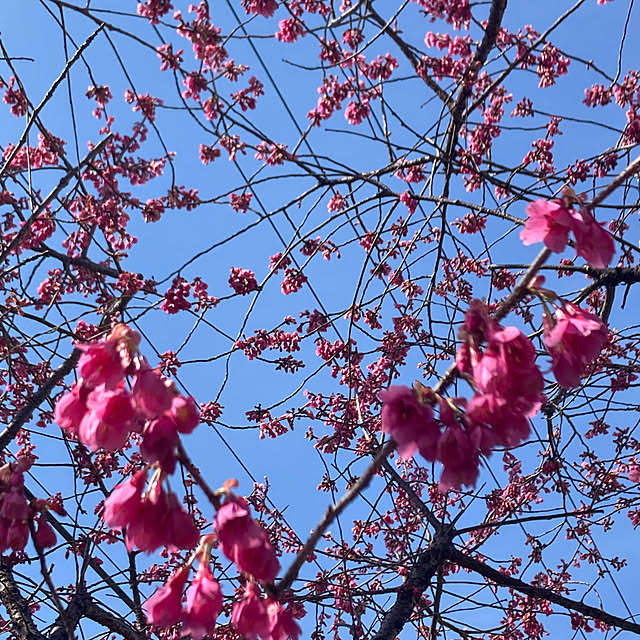 amiromikaさんの部屋