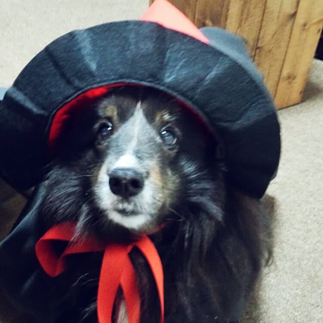 memesanさんの実例写真