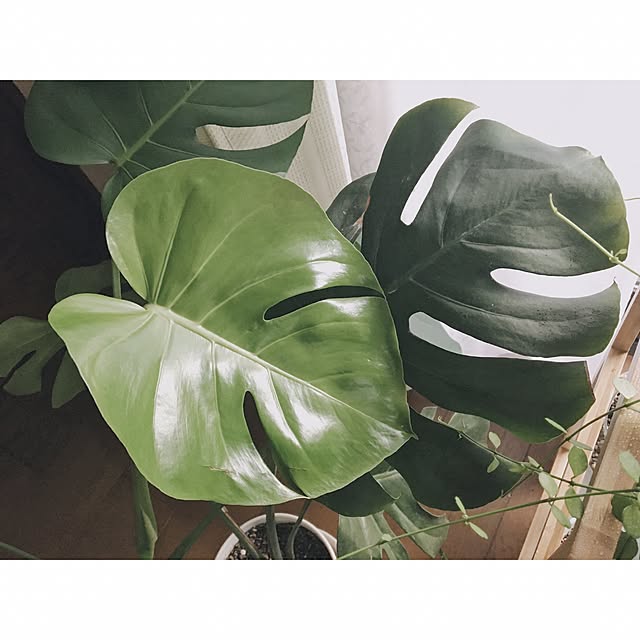 t_a_m_iさんの実例写真