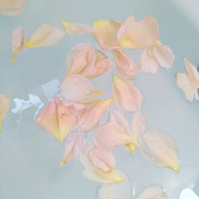 shimyu33さんの実例写真