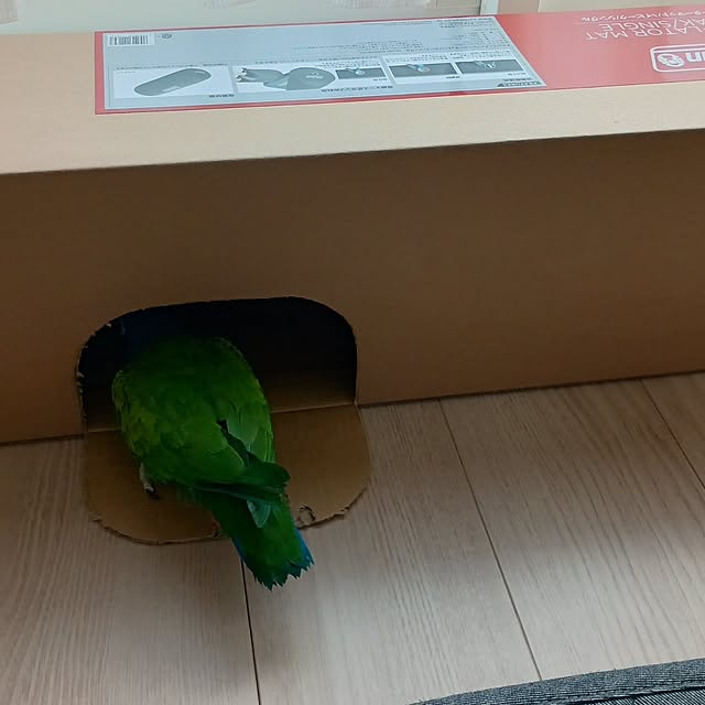 bonoさんの実例写真