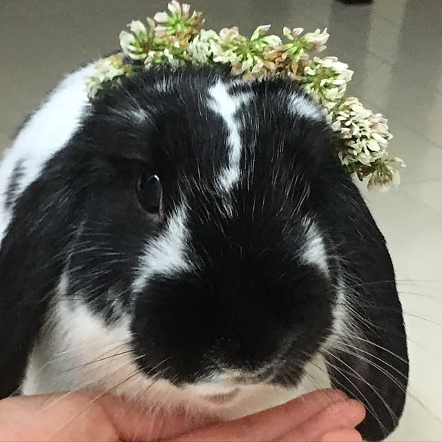 mana1021さんの実例写真