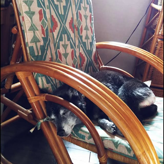 bimoさんの実例写真