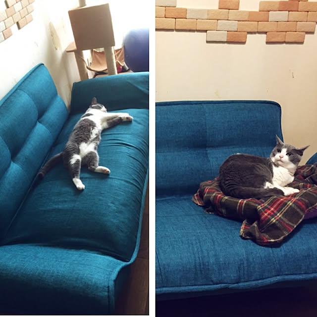 Hakoさんの実例写真