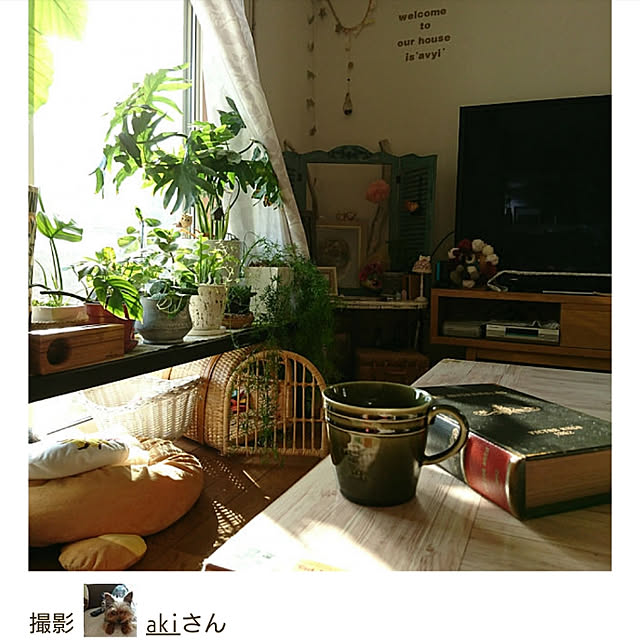 akiさんの実例写真