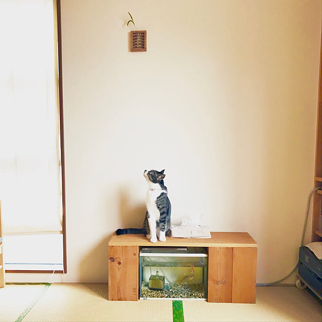 JUENさんの実例写真