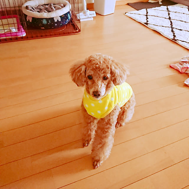 mkrさんの実例写真