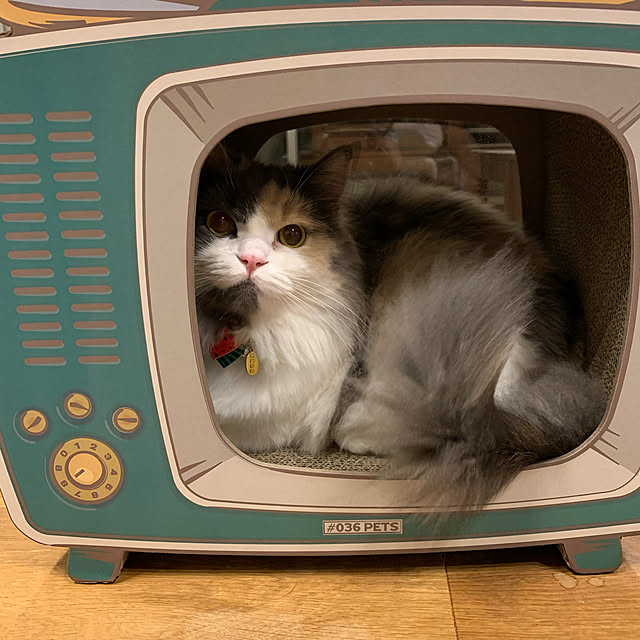 marikoさんの実例写真