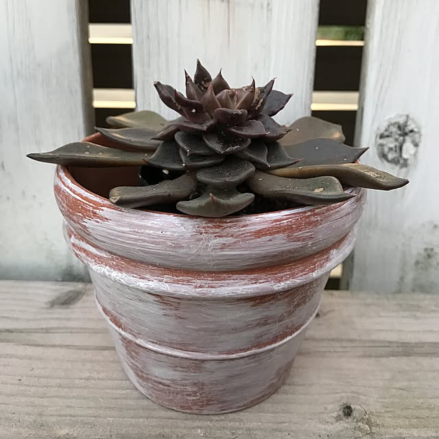 **yuu**さんの実例写真