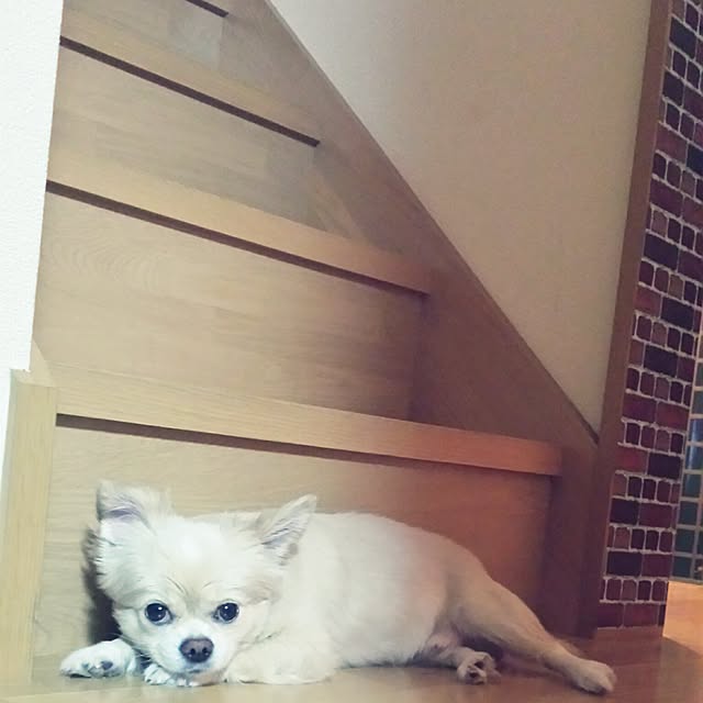 u.nob.916-さんの実例写真