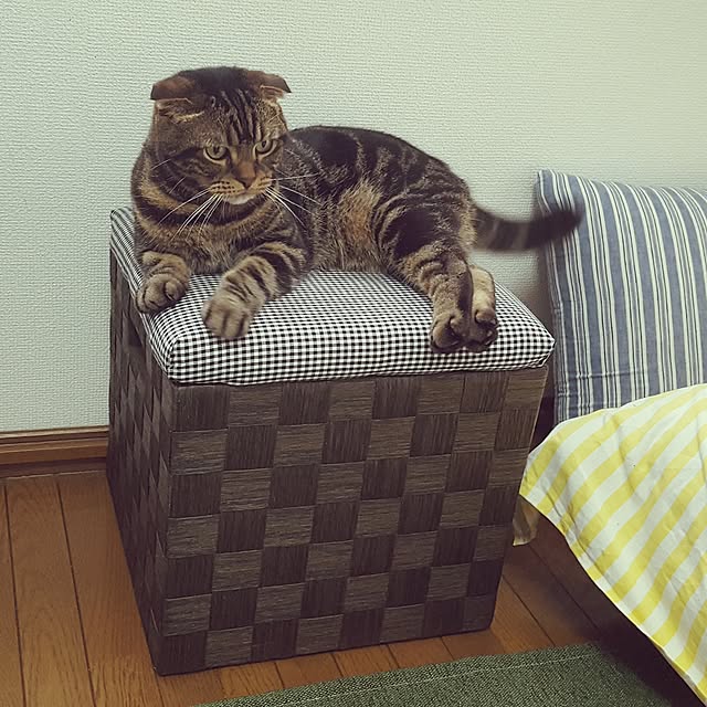 mi_iさんの実例写真