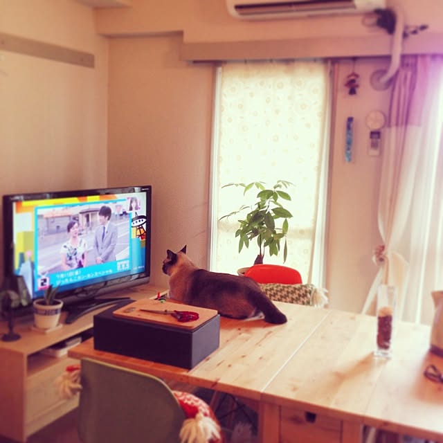 Takachikiさんの実例写真