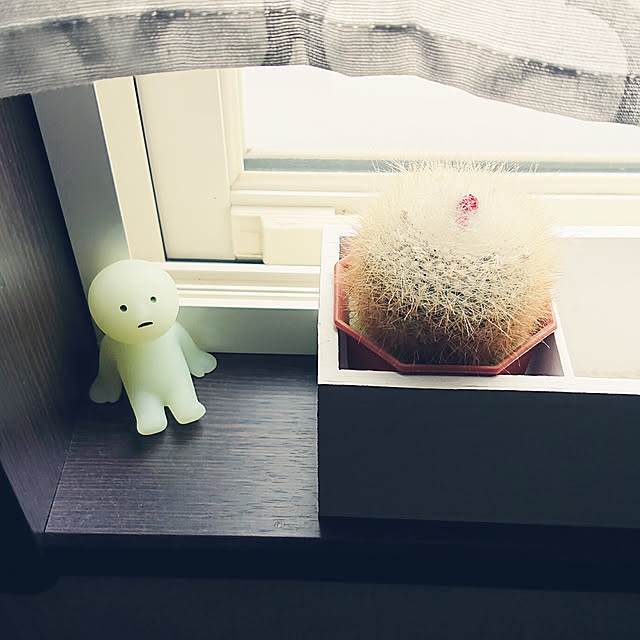sayaさんの実例写真