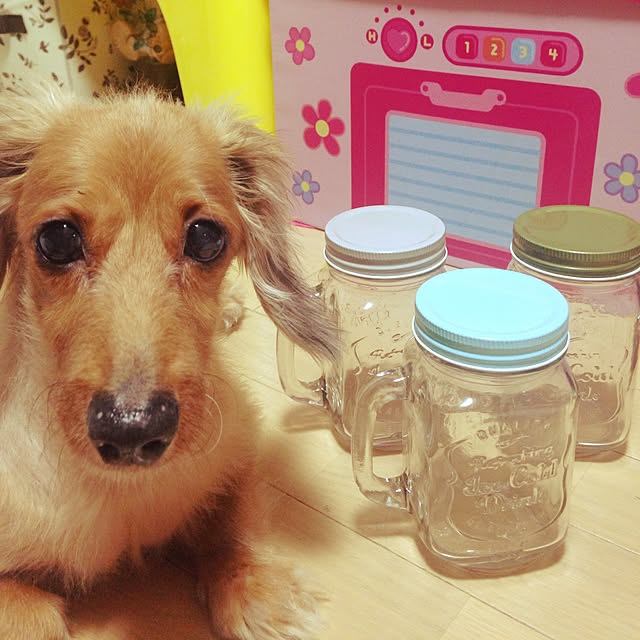 mayoさんの実例写真