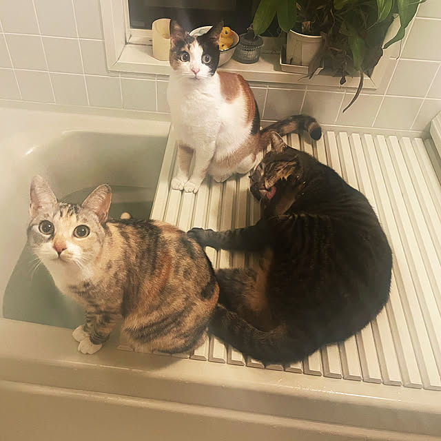 Dさんの実例写真