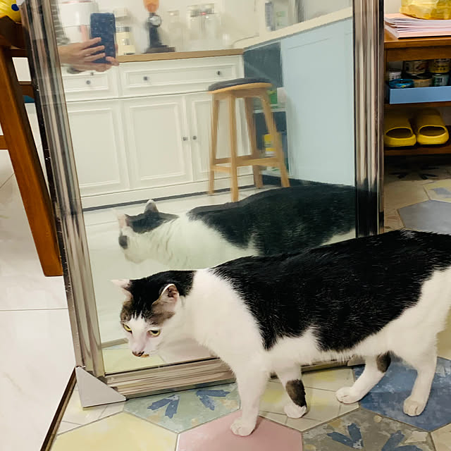 pcu110さんの実例写真