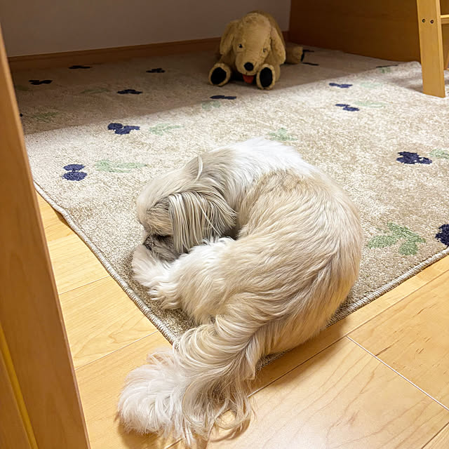 naoさんの実例写真