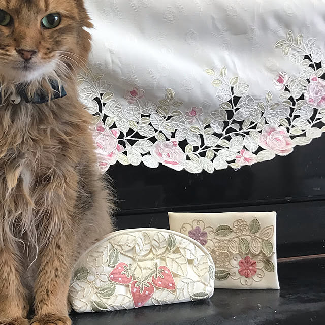 yukarinさんの実例写真