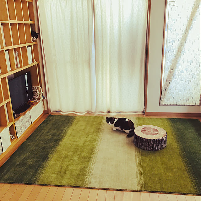 akiさんの実例写真
