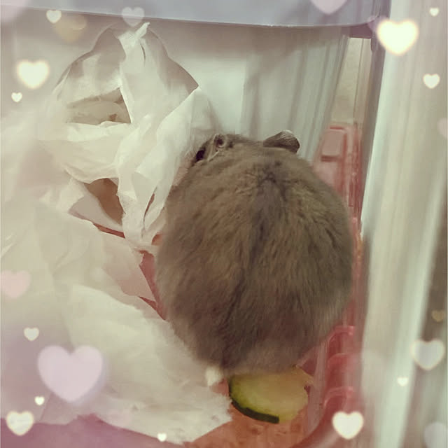 milkさんの実例写真