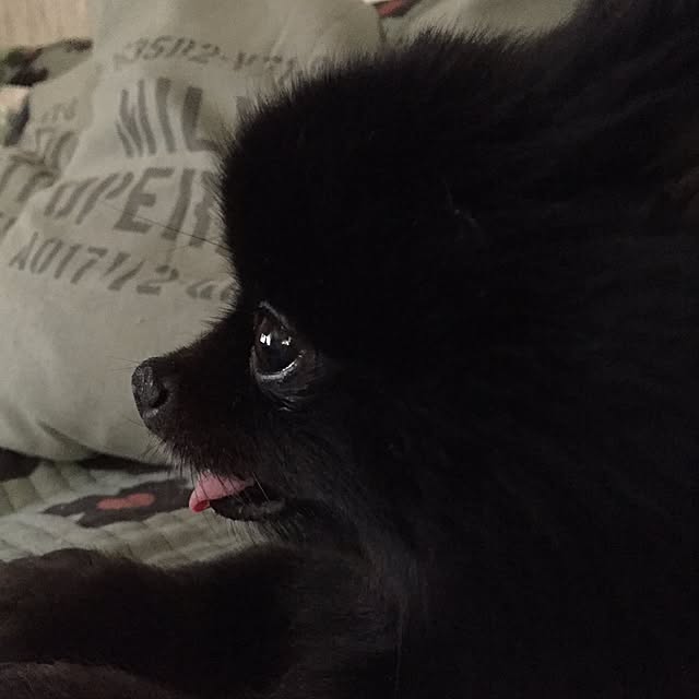 ohanaさんの実例写真