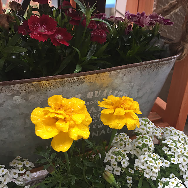 junjun.9216さんの実例写真