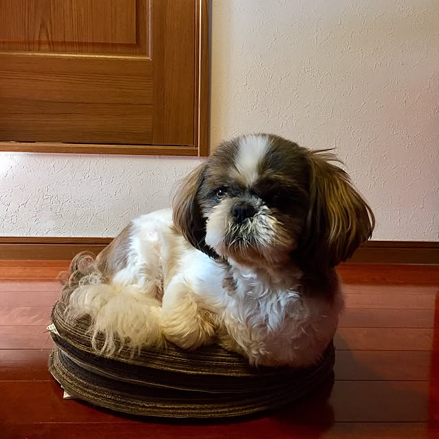 butachanさんの実例写真