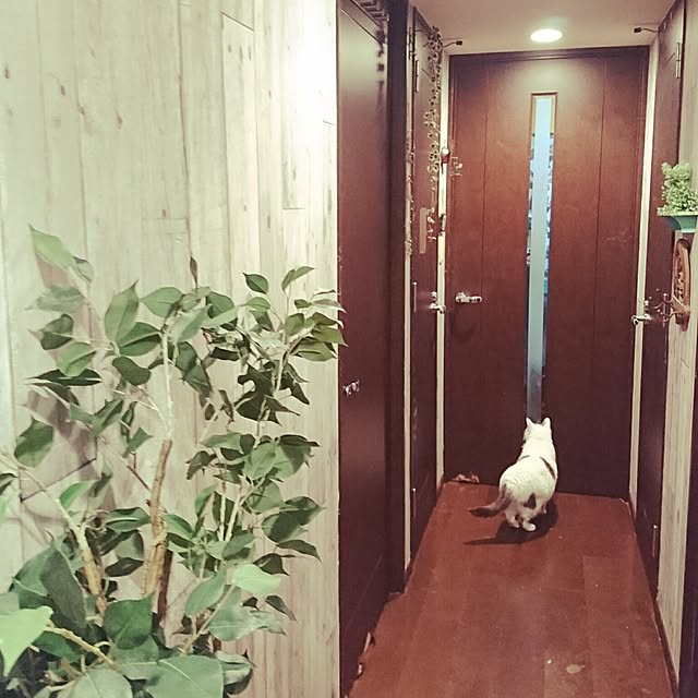 実例写真