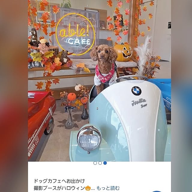 Blancheさんの部屋