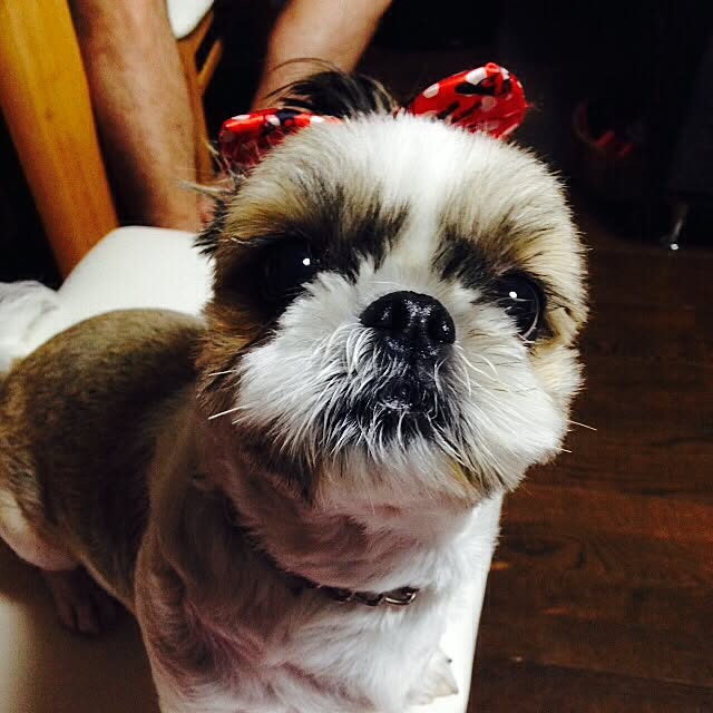 pepeさんの実例写真