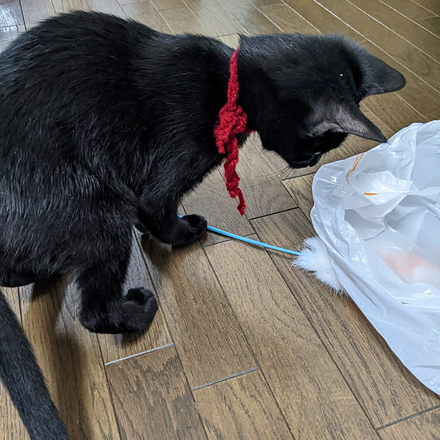 asaさんの実例写真