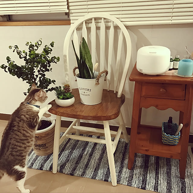 ayaさんの実例写真