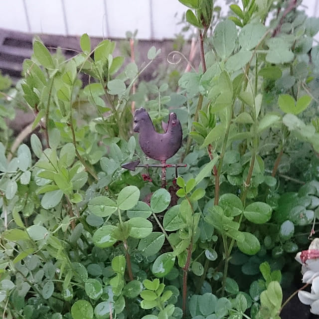 mizuさんの実例写真