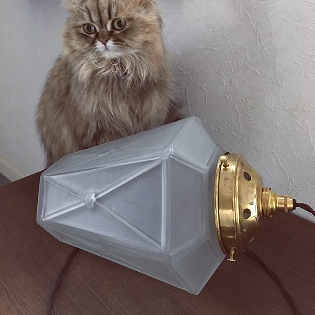rukaさんの実例写真
