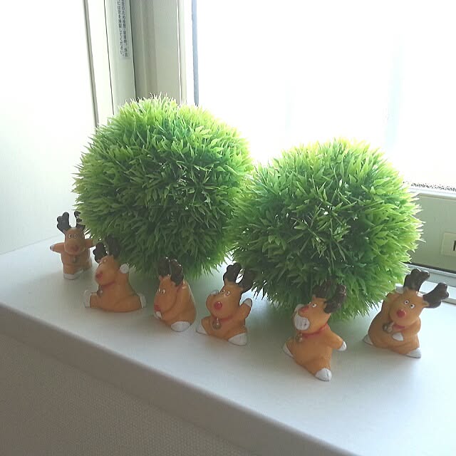 naoさんの実例写真