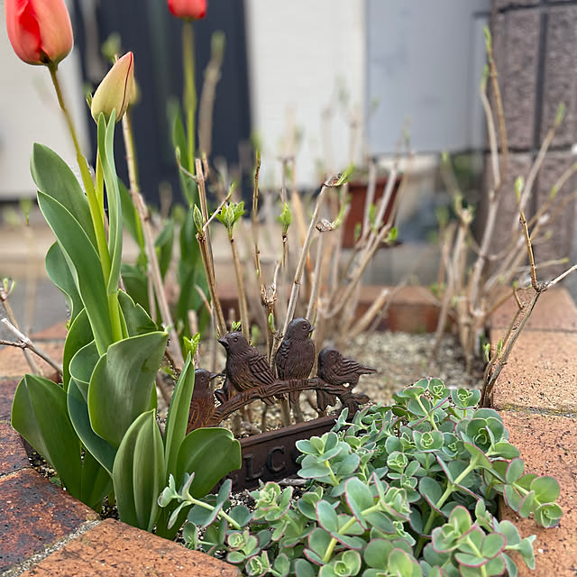 Junran50さんの実例写真