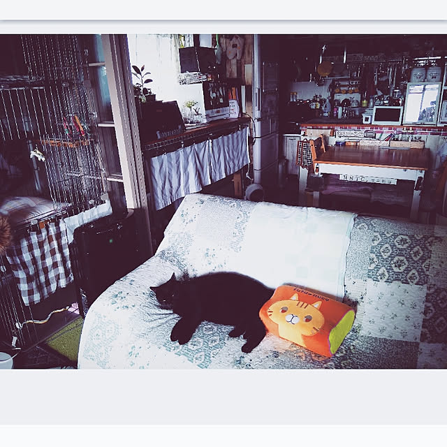 mntcさんの実例写真