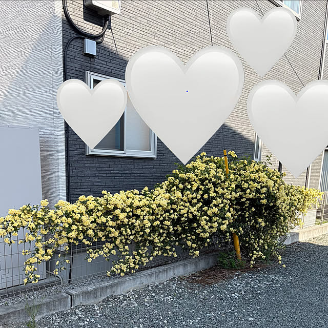 komaさんの実例写真