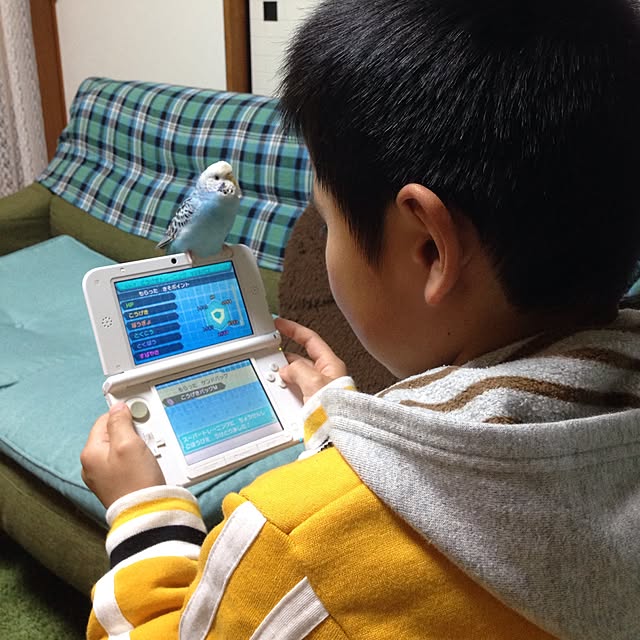 Rikoさんの実例写真