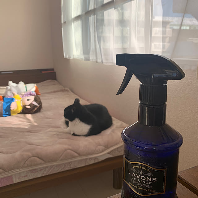 kirinさんの実例写真