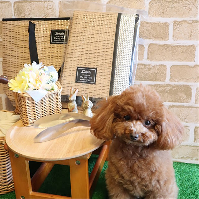 ISM.mumさんの実例写真