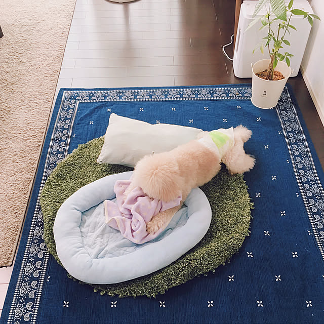 noyama5さんの実例写真