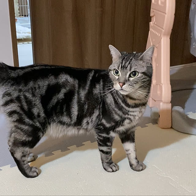KotarouKunさんの実例写真